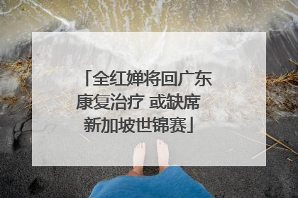 全红婵将回广东康复治疗 或缺席新加坡世锦赛