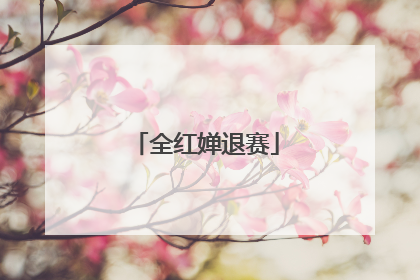 全红婵退赛