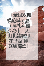 全国双拥模范城（县）巡礼新疆沙湾市：天山北麓双拥花 五届蝉联铸辉煌