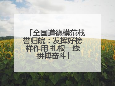 全国道德模范载誉归皖：发挥好榜样作用 扎根一线拼搏奋斗
