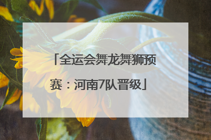 全运会舞龙舞狮预赛：河南7队晋级