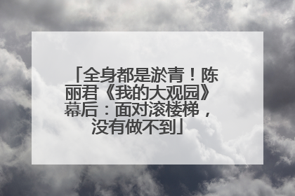 全身都是淤青！陈丽君《我的大观园》幕后：面对滚楼梯，没有做不到