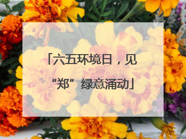 六五环境日，见“郑”绿意涌动