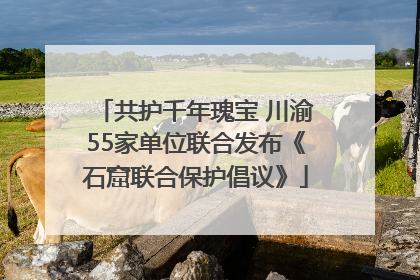 共护千年瑰宝 川渝55家单位联合发布《石窟联合保护倡议》