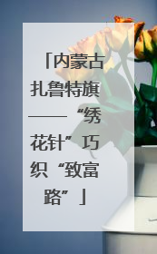 内蒙古扎鲁特旗——“绣花针”巧织“致富路”
