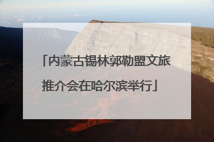 内蒙古锡林郭勒盟文旅推介会在哈尔滨举行