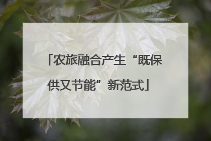 农旅融合产生“既保供又节能”新范式