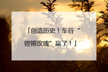 创造历史！车谷“铿锵玫瑰”赢了！
