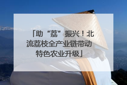助“荔”振兴！北流荔枝全产业链带动特色农业升级