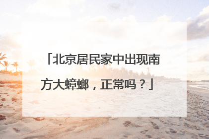 北京居民家中出现南方大蟑螂，正常吗？