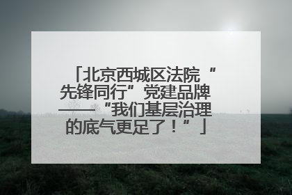 北京西城区法院“先锋同行”党建品牌——“我们基层治理的底气更足了！”
