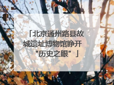 北京通州路县故城遗址博物馆睁开“历史之眼”
