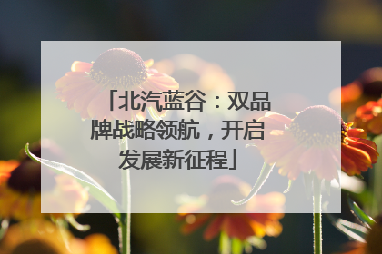 北汽蓝谷：双品牌战略领航，开启发展新征程