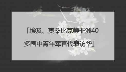 埃及、莫桑比克等非洲40多国中青年军官代表访华