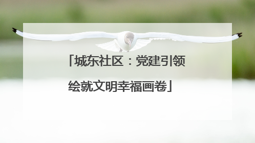 城东社区：党建引领绘就文明幸福画卷