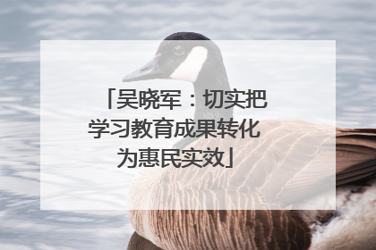 吴晓军：切实把学习教育成果转化为惠民实效