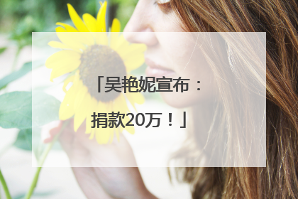 吴艳妮宣布：捐款20万！