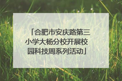 合肥市安庆路第三小学大杨分校开展校园科技周系列活动