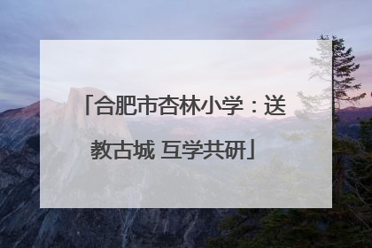 合肥市杏林小学：送教古城 互学共研