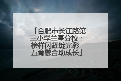 合肥市长江路第三小学兰亭分校：榜样闪耀绽光彩 五育融合助成长