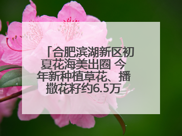 合肥滨湖新区初夏花海美出圈 今年新种植草花、播撒花籽约6.5万平方米