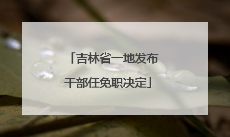 吉林省一地发布干部任免职决定