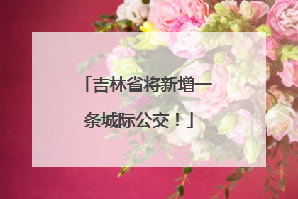 吉林省将新增一条城际公交！