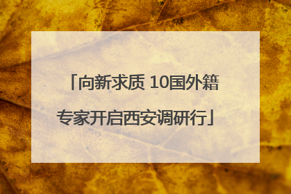 向新求质 10国外籍专家开启西安调研行