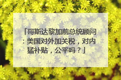哥斯达黎加前总统顾问：美国对外加关税，对内猛补贴，公平吗？