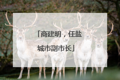 商建明，任盐城市副市长