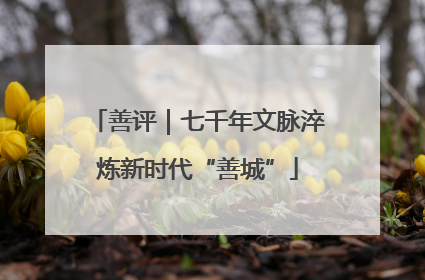 善评｜七千年文脉淬炼新时代“善城”