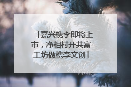 嘉兴槜李即将上市，净相村开共富工坊做槜李文创