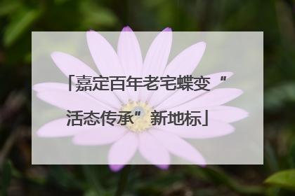 嘉定百年老宅蝶变“活态传承”新地标