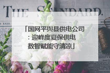 国网平舆县供电公司：迎峰度夏保供电  数智赋能守清凉