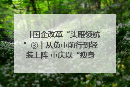 国企改革“头雁领航”③｜从负重前行到轻装上阵 重庆以“瘦身”谋“健体”