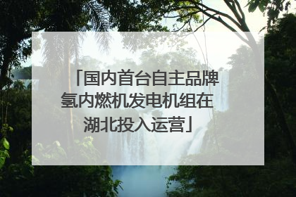 国内首台自主品牌氢内燃机发电机组在湖北投入运营