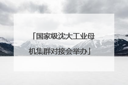 国家级沈大工业母机集群对接会举办