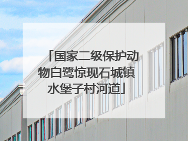 国家二级保护动物白鹭惊现石城镇水堡子村河道