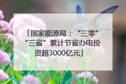 国家能源局：“三零”“三省”累计节省办电投资超3000亿元