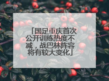 国足重庆首次公开训练热度不减，战巴林阵容将有较大变化