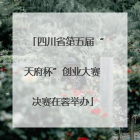 四川省第五届“天府杯”创业大赛决赛在蓉举办