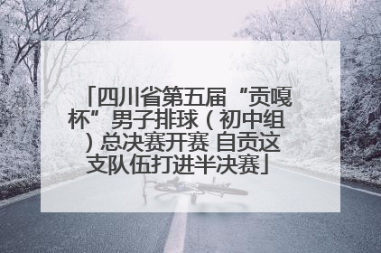 四川省第五届“贡嘎杯”男子排球（初中组）总决赛开赛 自贡这支队伍打进半决赛