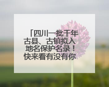 四川一批千年古县、古镇拟入地名保护名录！快来看有没有你的家乡