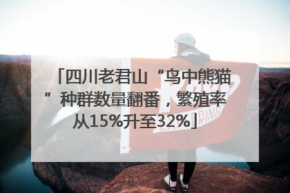 四川老君山“鸟中熊猫”种群数量翻番，繁殖率从15%升至32%