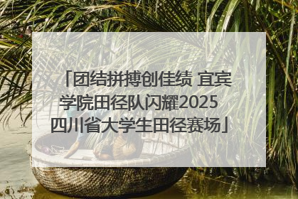 团结拼搏创佳绩 宜宾学院田径队闪耀2025四川省大学生田径赛场