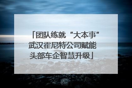 团队练就“大本事” 武汉霍尼特公司赋能头部车企智慧升级
