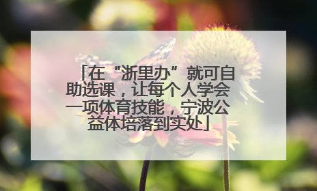 在“浙里办”就可自助选课，让每个人学会一项体育技能，宁波公益体培落到实处