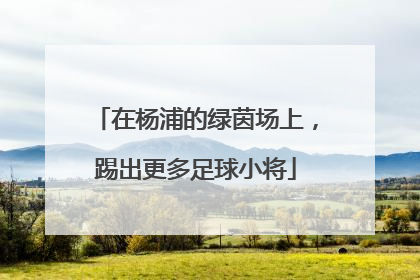 在杨浦的绿茵场上，踢出更多足球小将