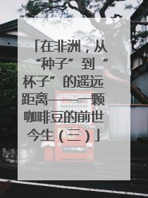 在非洲，从“种子”到“杯子”的遥远距离——一颗咖啡豆的前世今生（三）