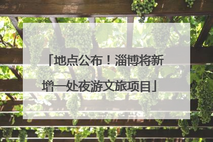 地点公布！淄博将新增一处夜游文旅项目